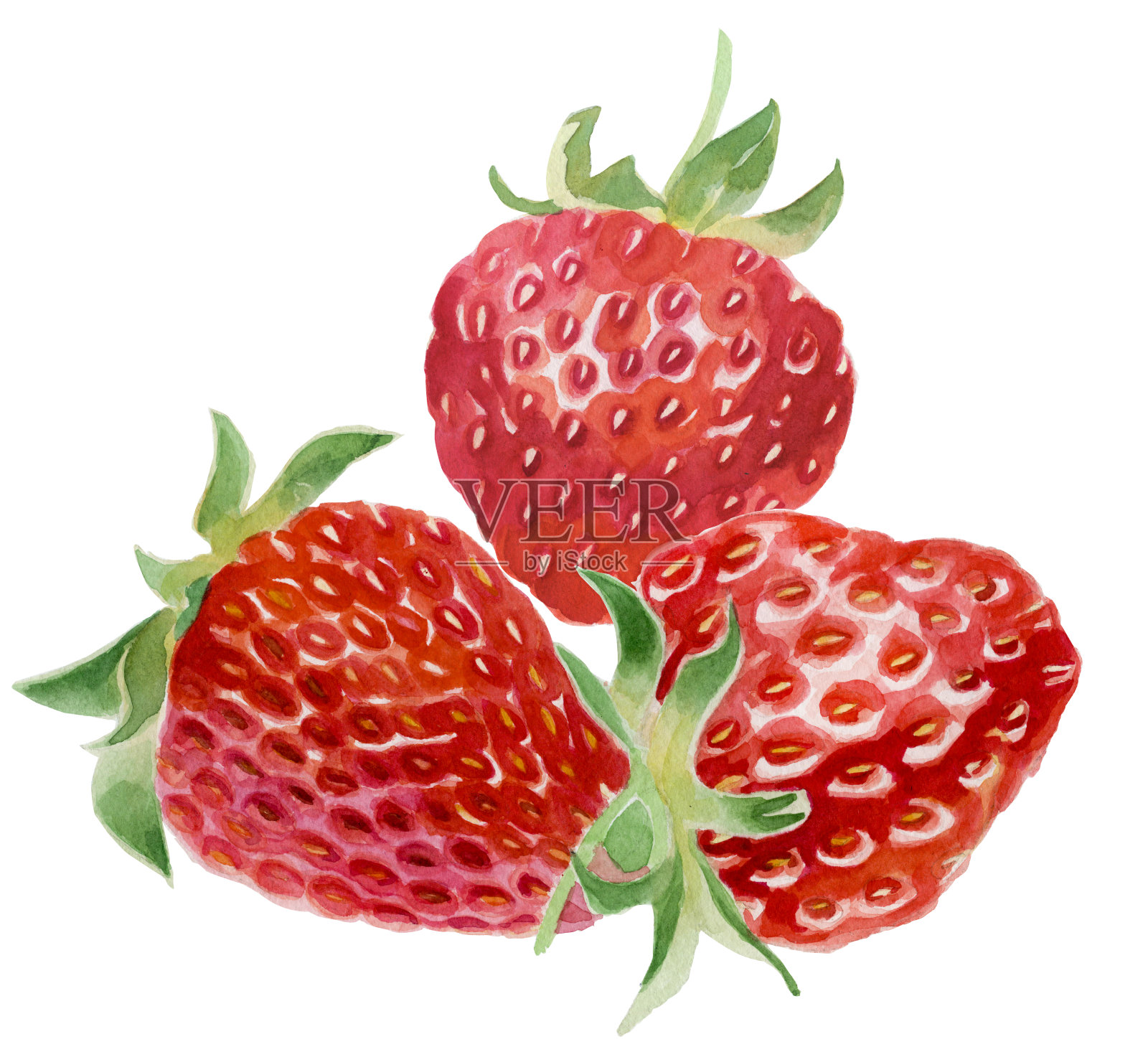草莓水彩。三个浆果孤立在白色背景上插画图片素材