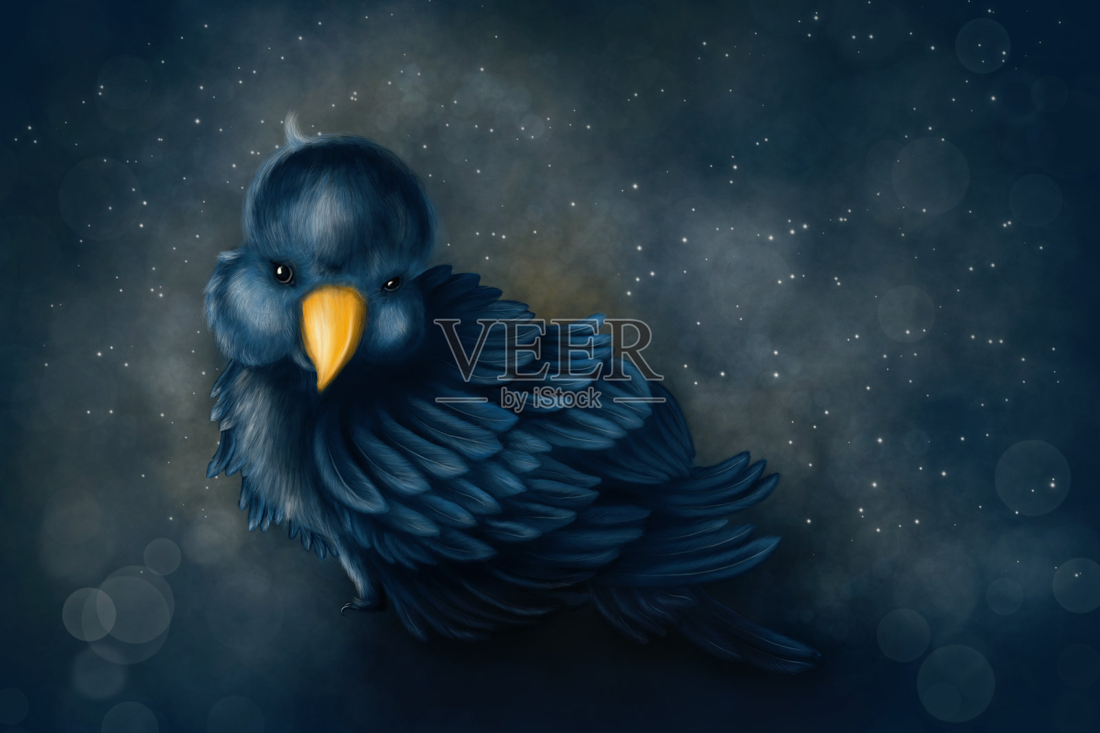 深蓝色的小鸟，数码绘画插画图片素材