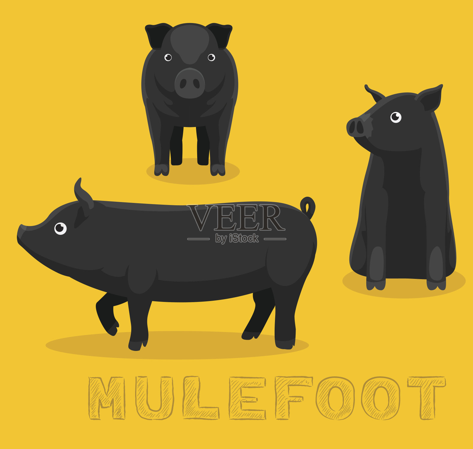 猪骡脚卡通矢量插图设计元素图片