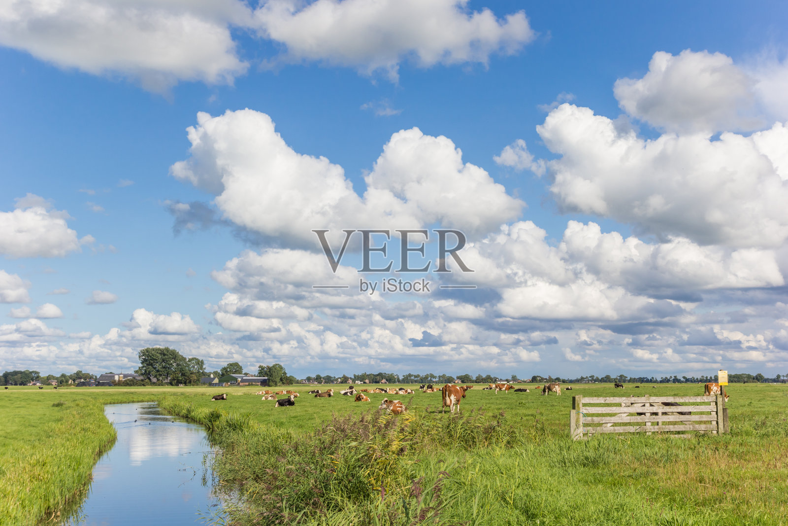 荷兰，一条穿过荷兰风景的小河照片摄影图片