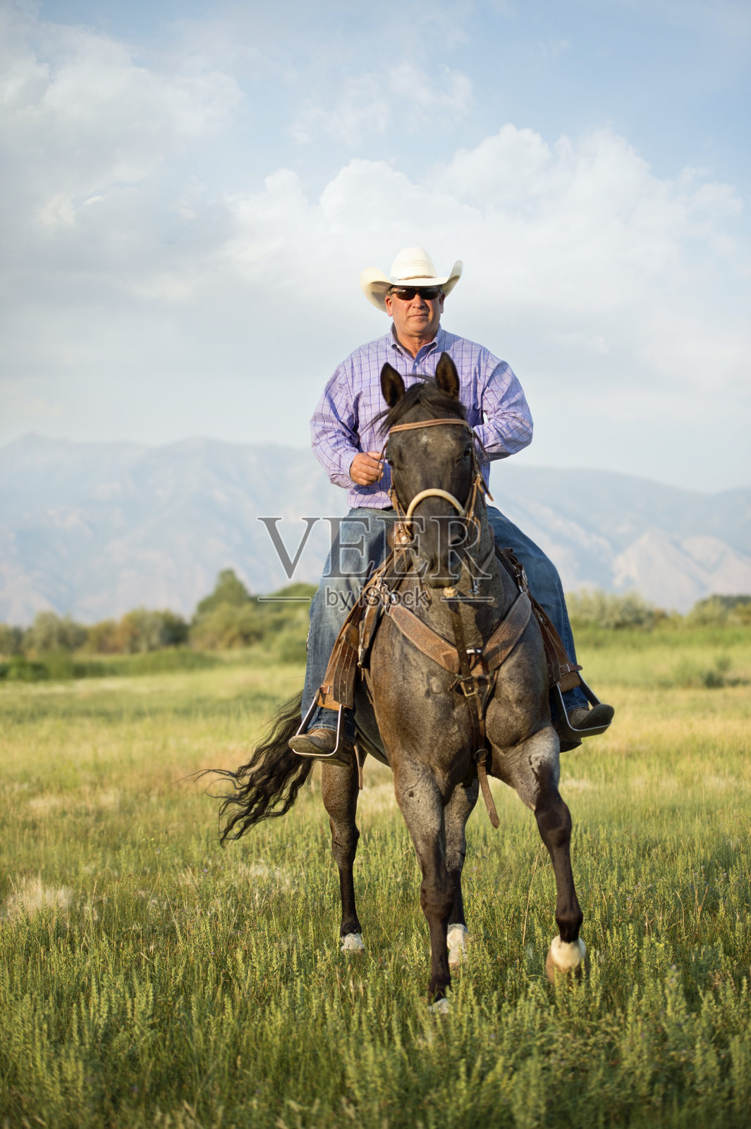50岁的牛仔骑着他漂亮的马在山上的草地上。照片摄影图片