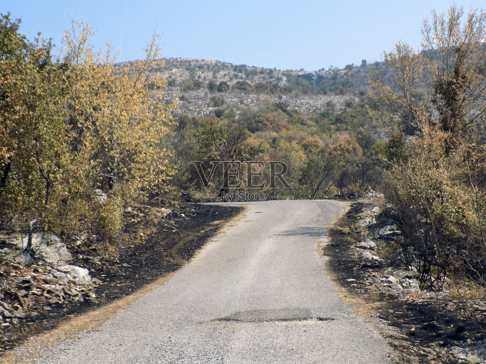 一场森林大火后烧毁了森林和树干，周围的乡村道路在山区照片摄影图片