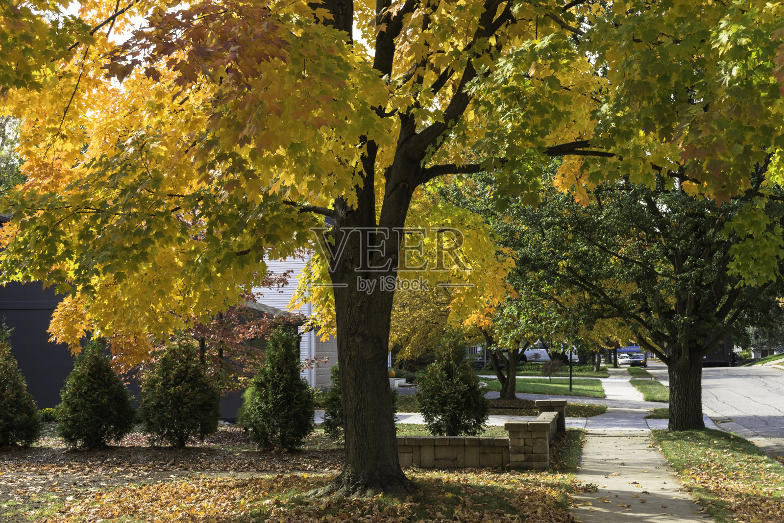 密歇根州的秋天的颜色照片摄影图片