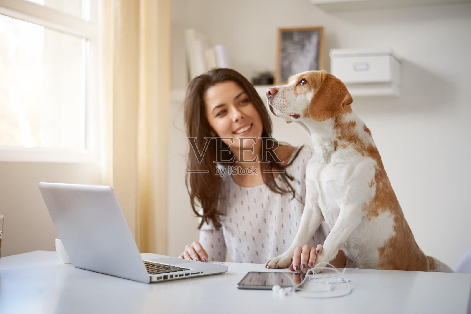 在家里和狗玩的女人照片摄影图片