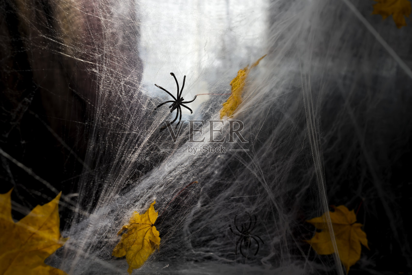黑色背景下的蜘蛛网，照片摄影图片