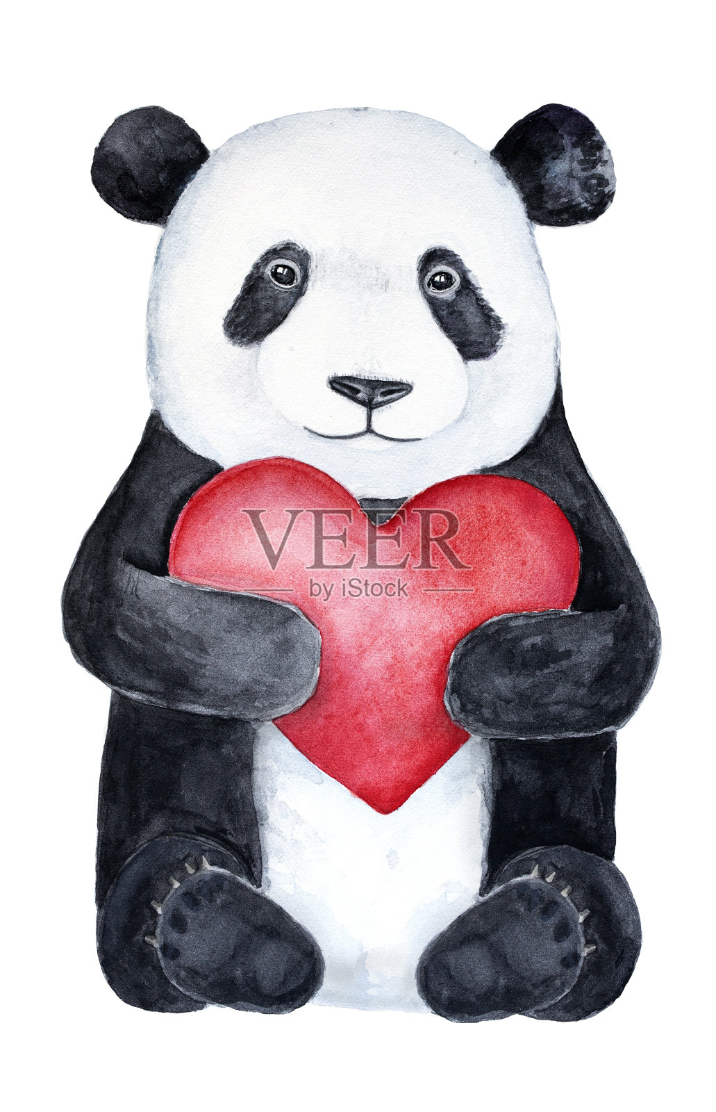 可爱的小熊猫泰迪熊抱着一颗大大的红心。设计元素图片