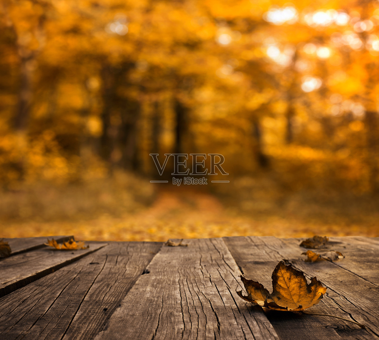 空木桌上散焦的秋天背景照片摄影图片
