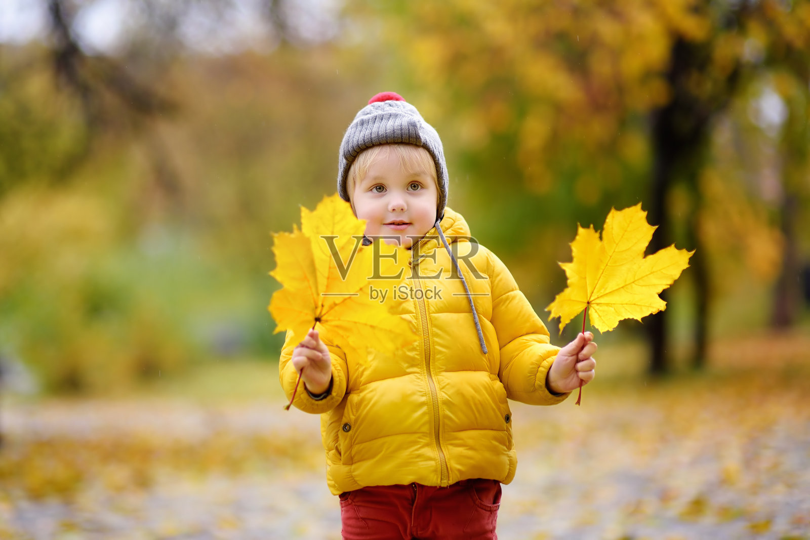 秋天的一天，孩子们在城市公园里散步照片摄影图片