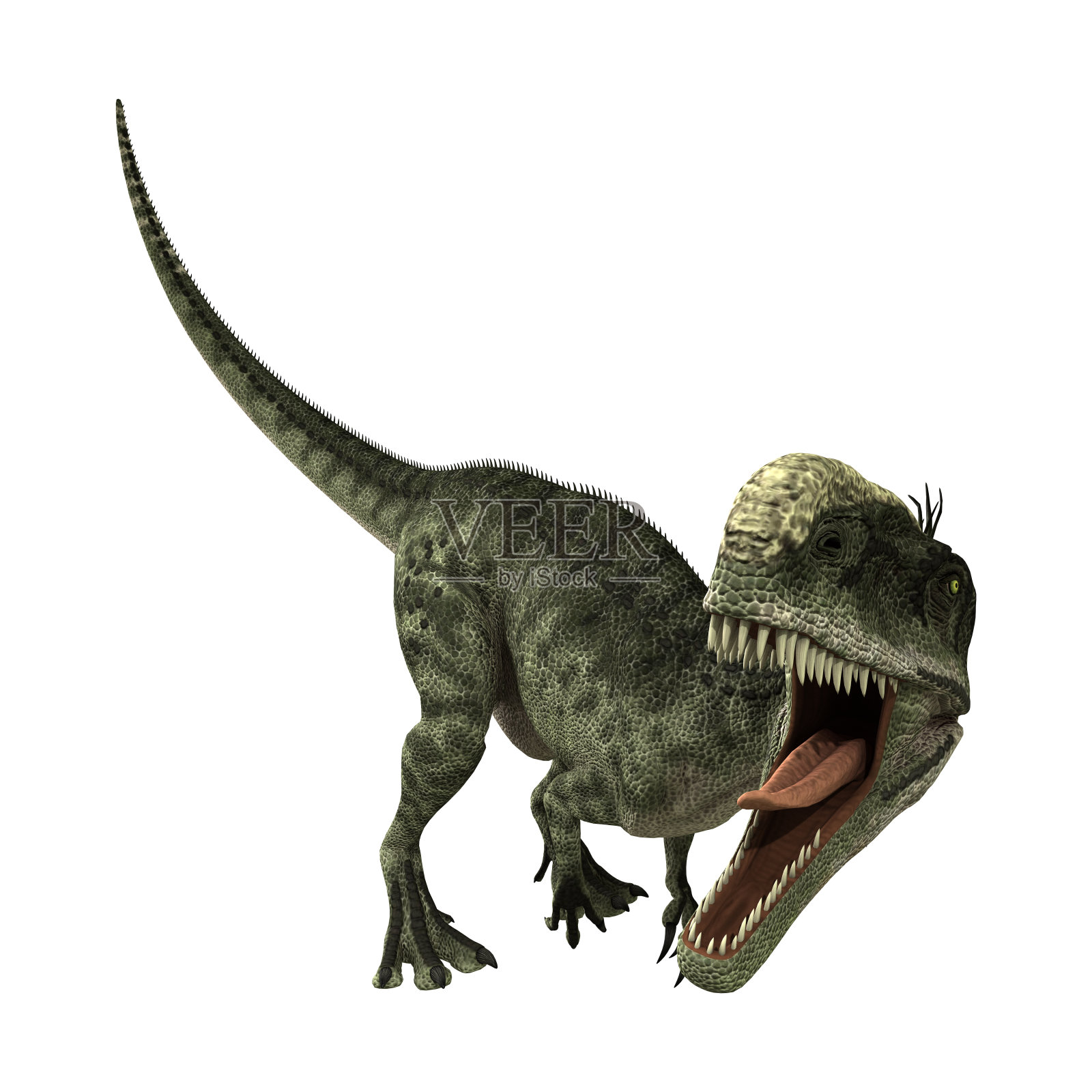 3D渲染恐龙单脊龙在白色照片摄影图片