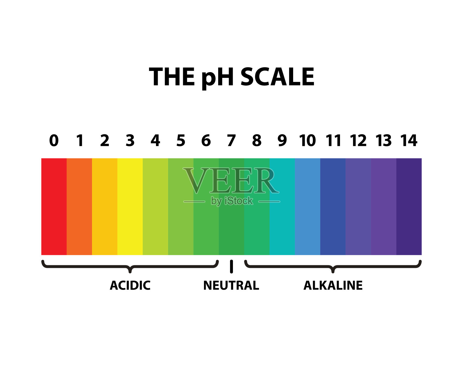 着色的pH刻度彩虹-孤立的矢量插图插画图片素材