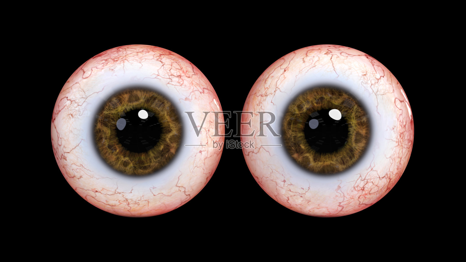 两个真实的人类眼球与棕色虹膜，孤立在黑色背景(3d插图)照片摄影图片