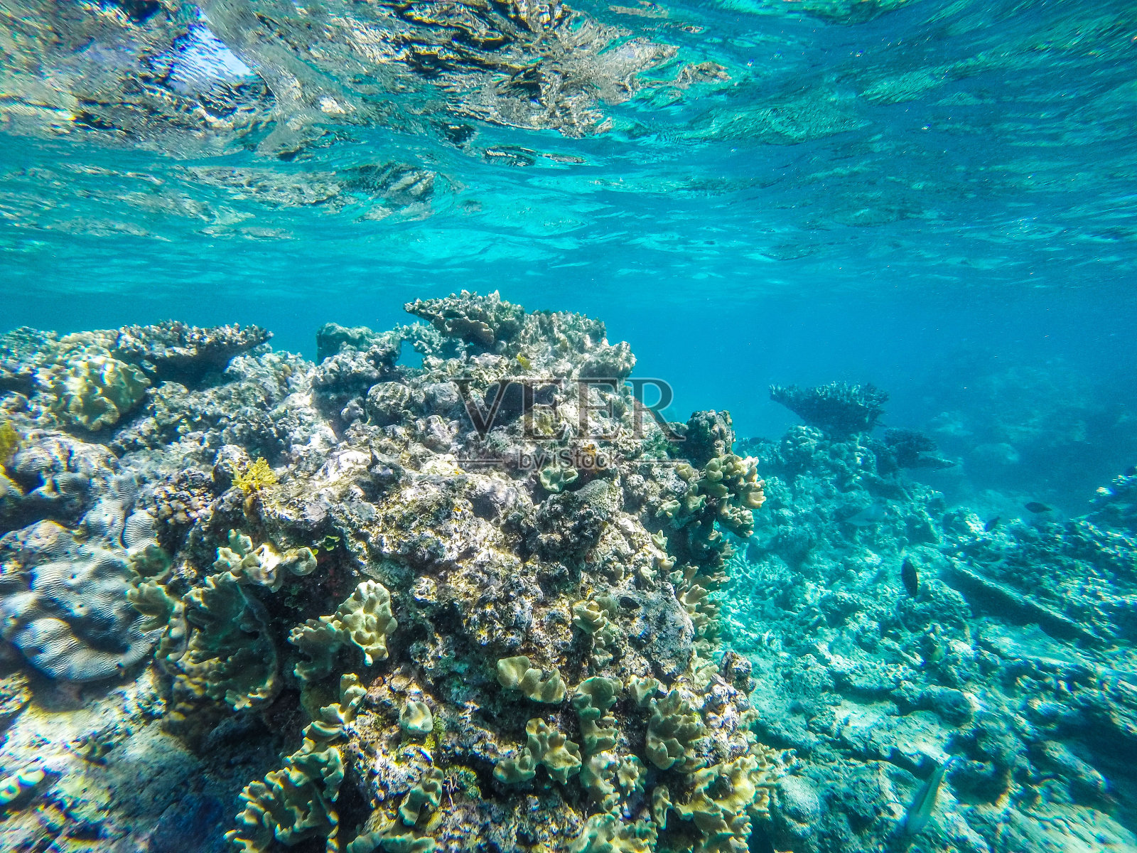 昆士兰大堡礁探险照片摄影图片
