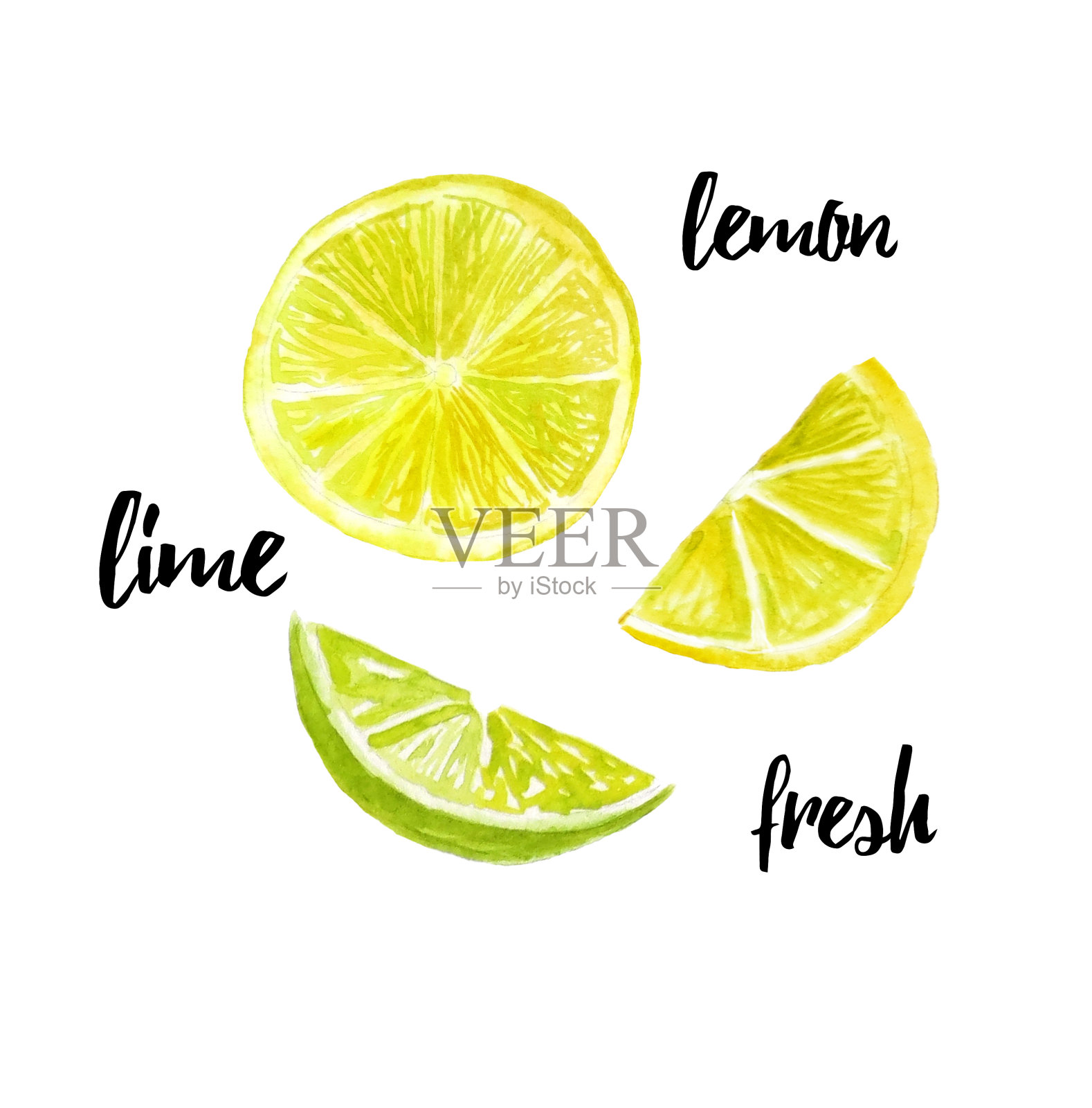 水彩食物插图的一个柠檬和酸橙在一个白色的背景插画图片素材