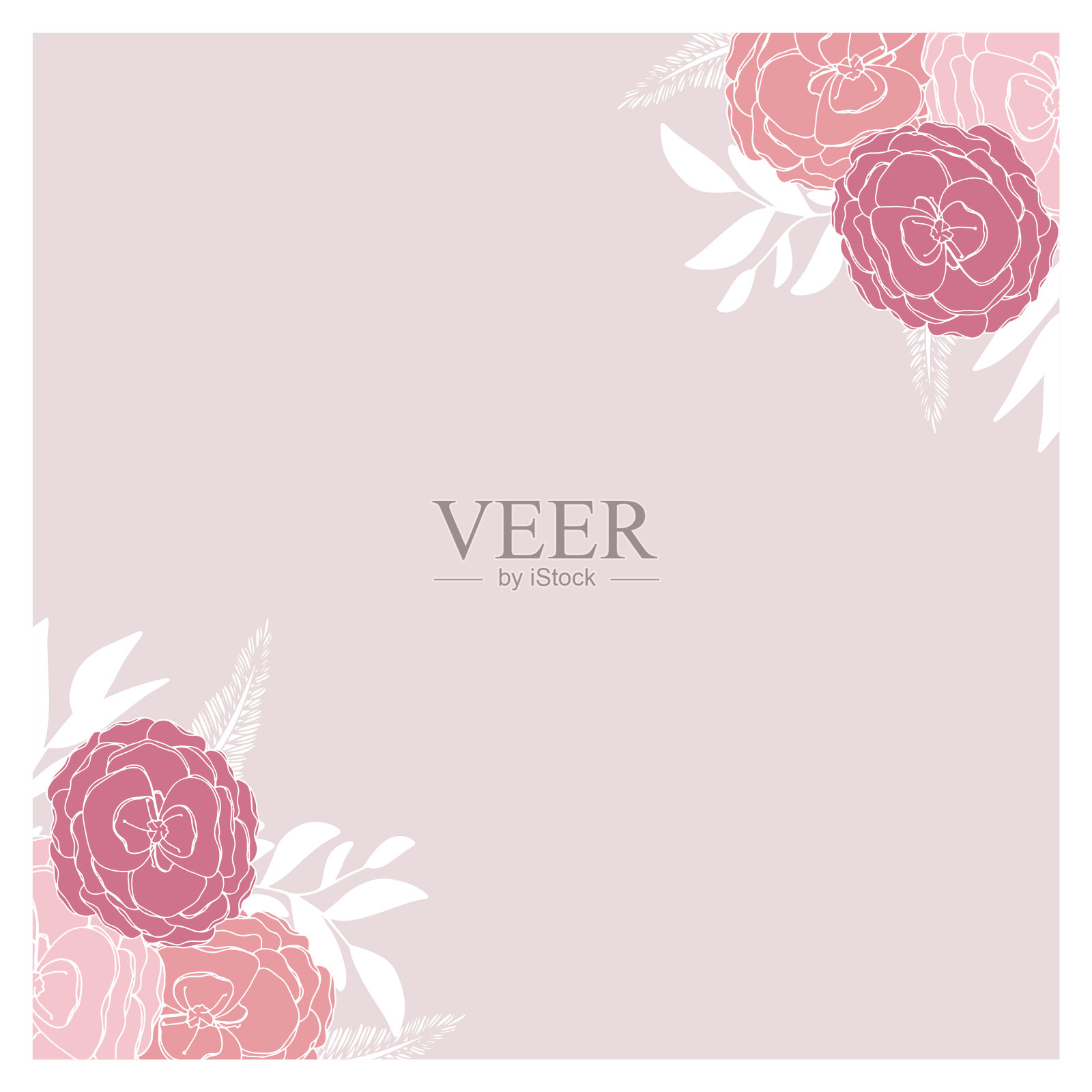 方形框架，粉红色的花和白色的叶子插画图片素材