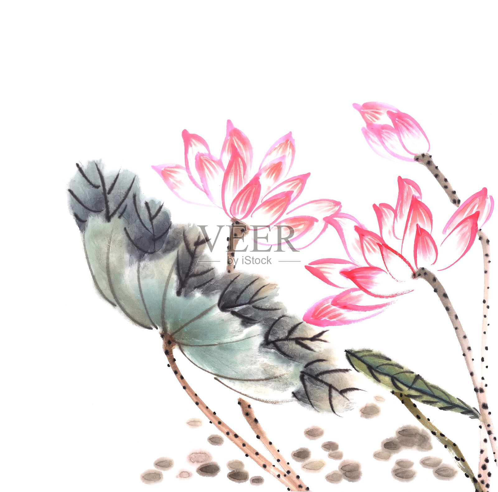 荷花手绘水墨，中国水彩画插画图片素材