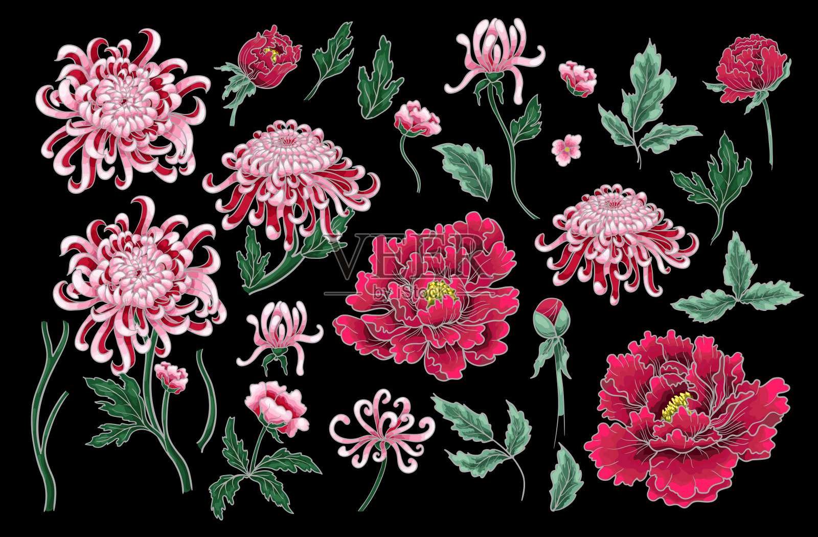 矢量手绘无缝绘制菊花和牡丹图案。用于服装设计、印花或其他。插画图片素材
