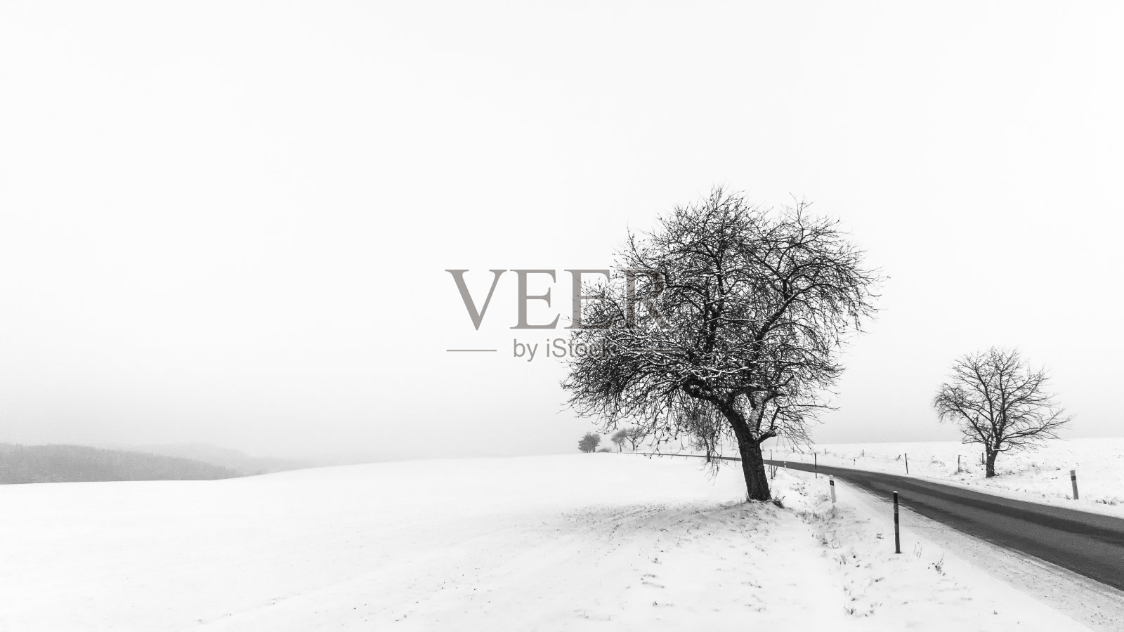 艺术极简主义冬季场景在黑色和白色。16 x9高清率照片摄影图片