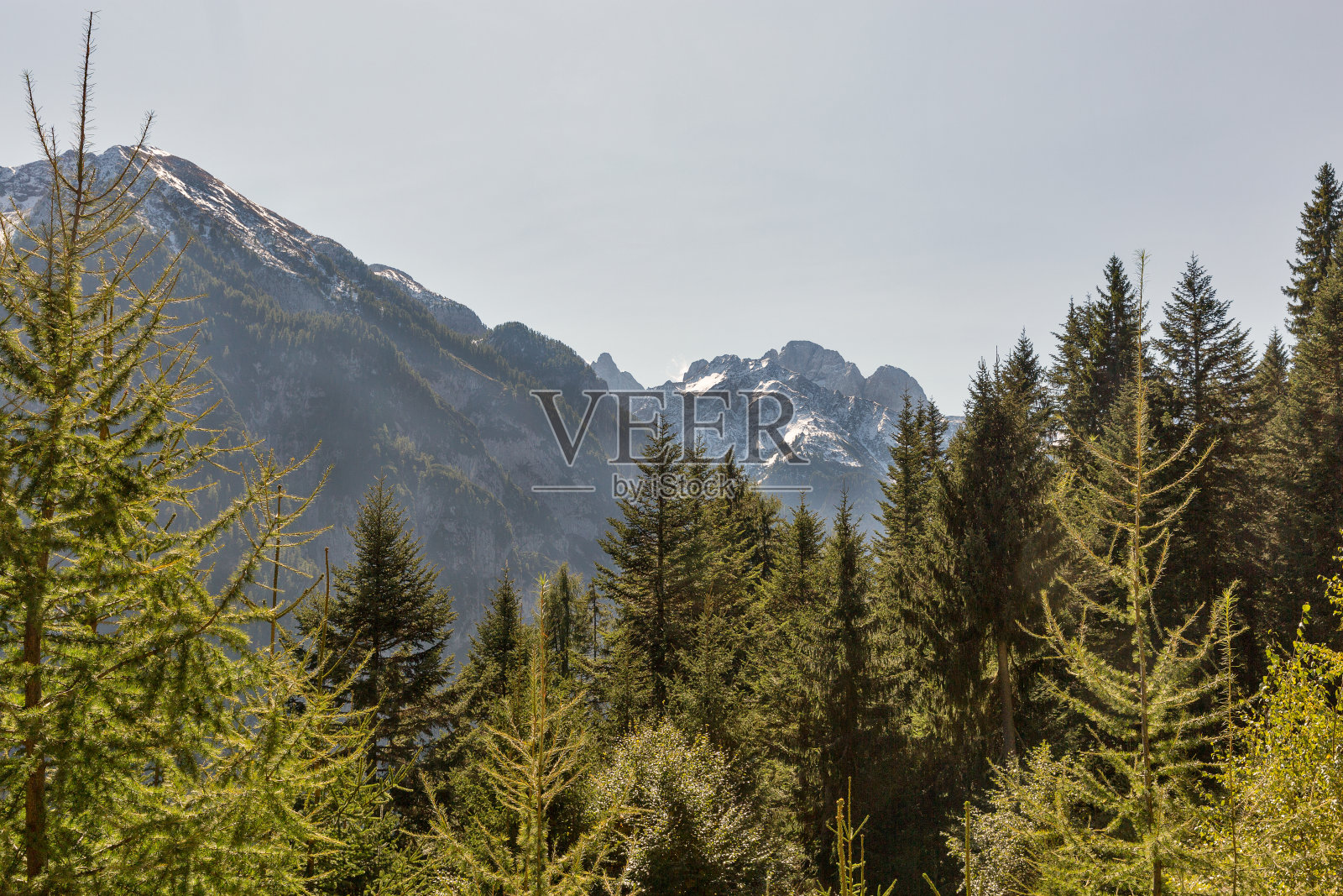 奥地利西卡林西亚的阿尔卑斯山景观。照片摄影图片