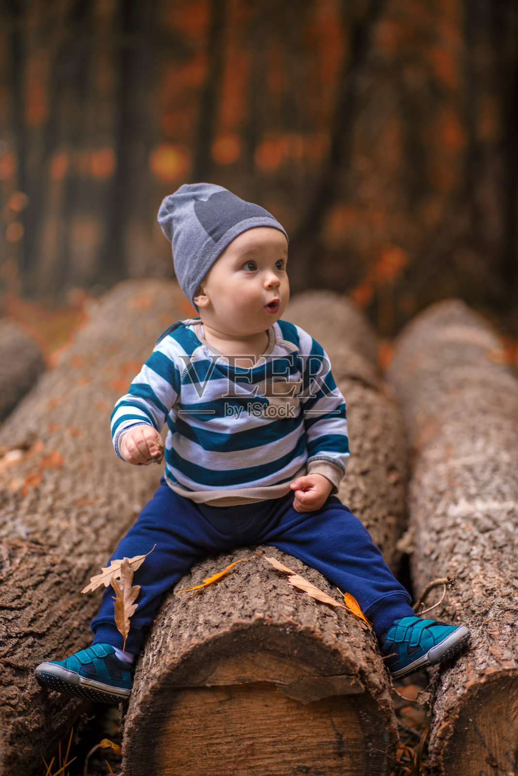 在秋天的森林里，小男孩坐在一棵树上照片摄影图片