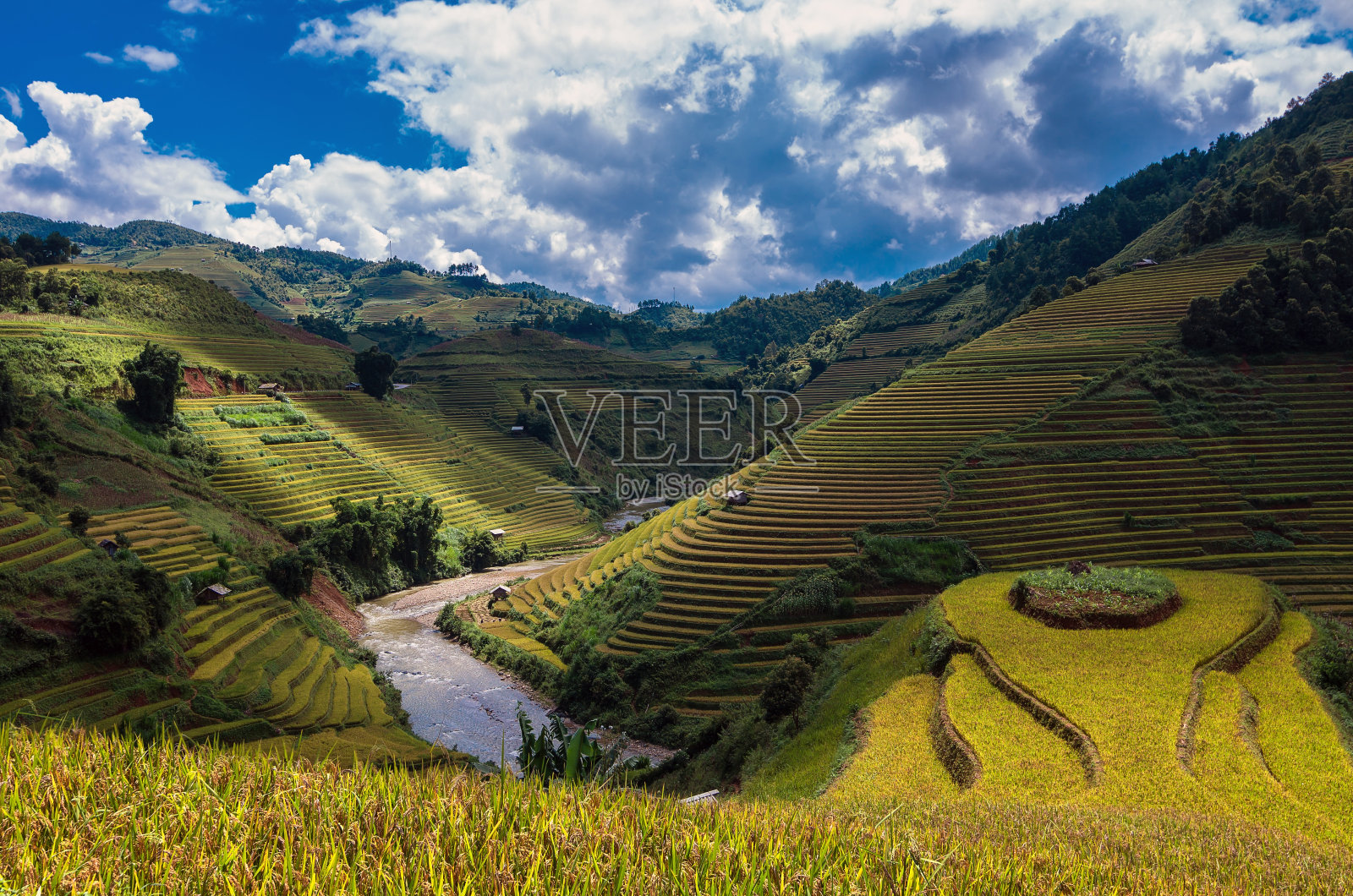 越南西北部盐白省木仓寨地区梯田上的稻田照片摄影图片