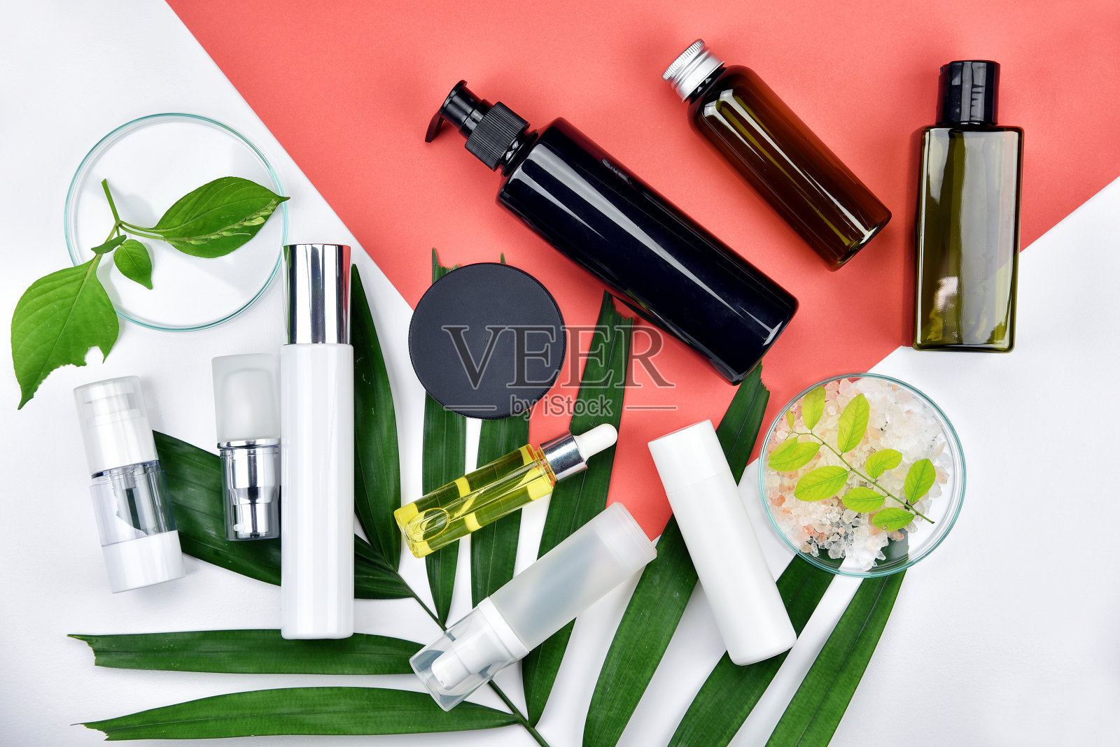 化妆品瓶容器与绿色草药叶子，空白标签的品牌模型，自然美容产品的概念，平铺在彩色背景。照片摄影图片