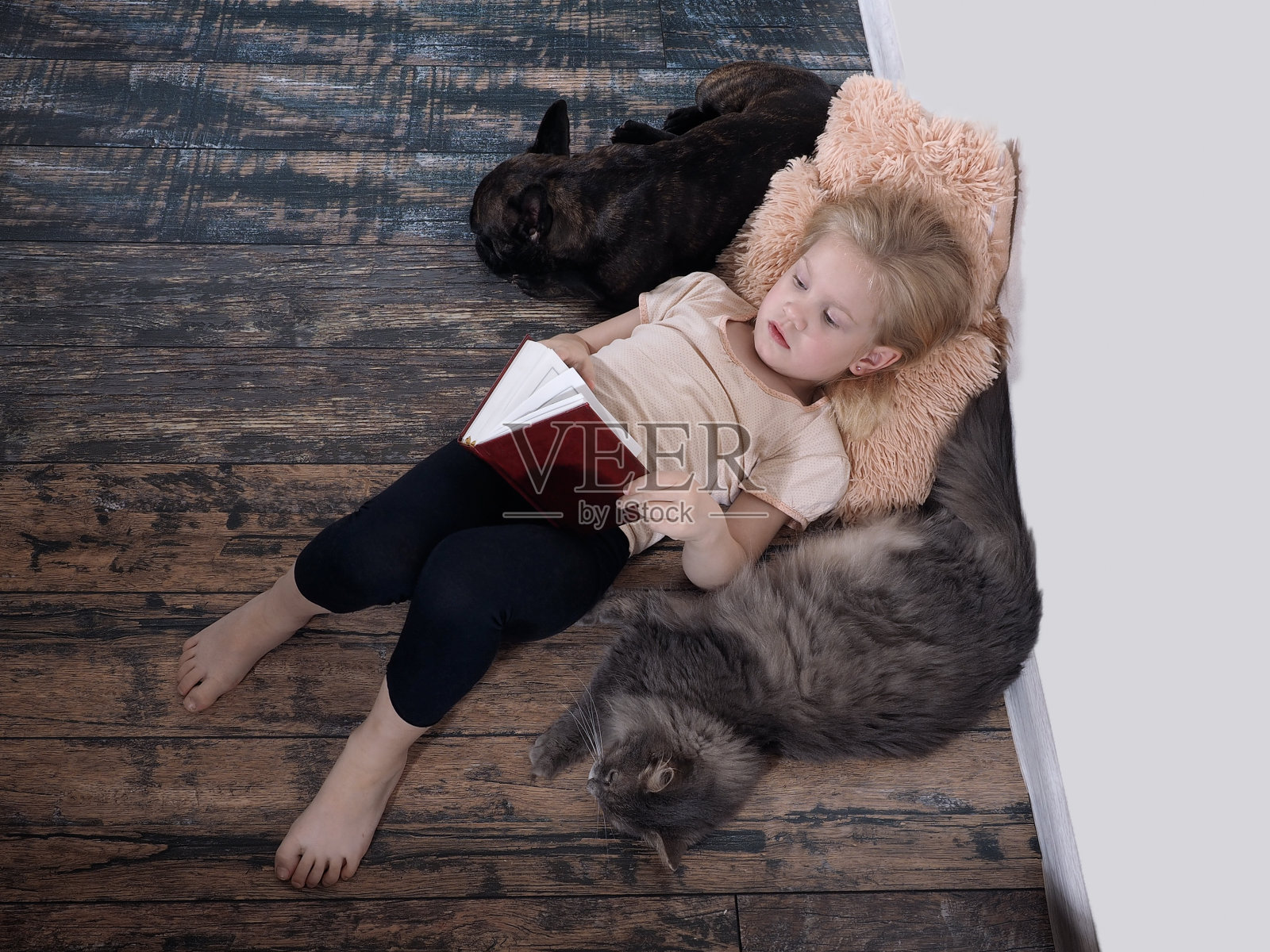 拿着书的小孩。女孩躺在地板上。接下来是一只猫和一只狗照片摄影图片