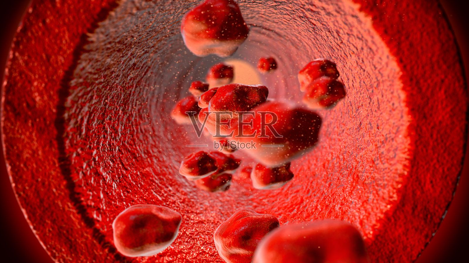 静脉中的红细胞照片摄影图片