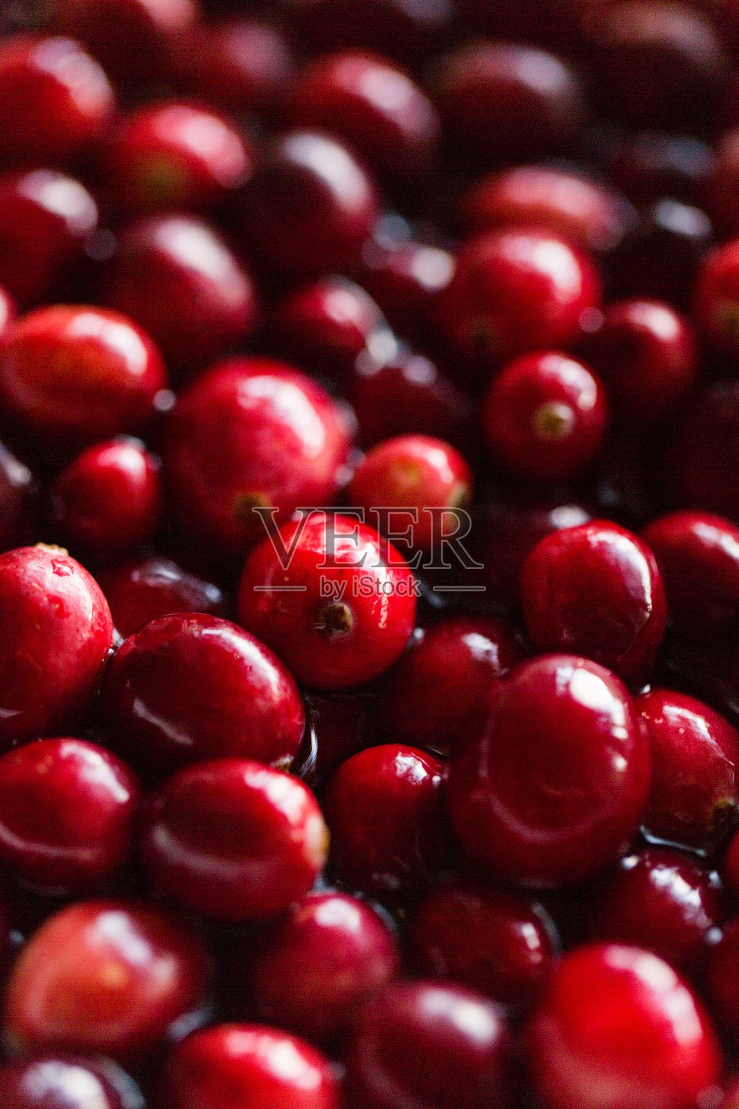 五颜六色的小红莓照片摄影图片