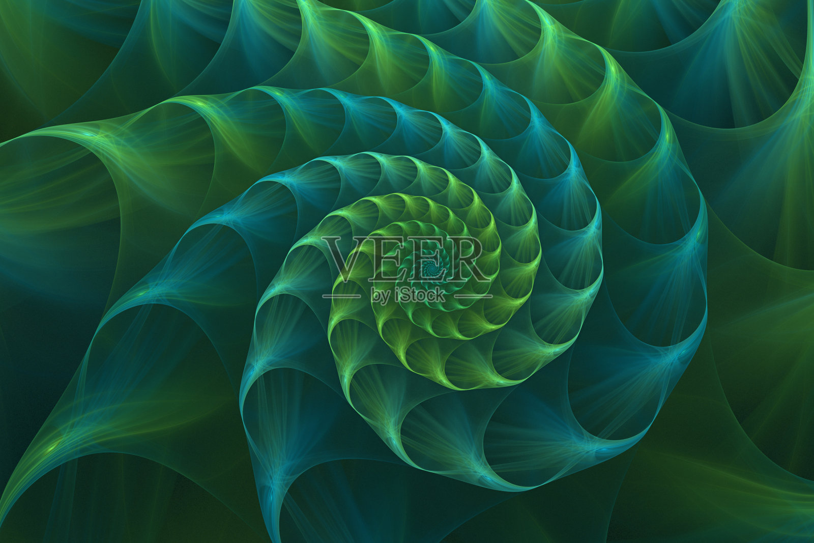抽象分形蓝绿色鹦鹉螺海贝照片摄影图片
