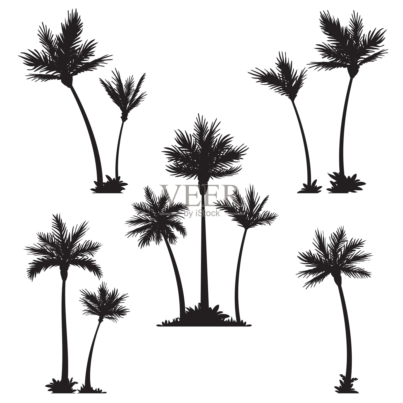 热带棕榈树，黑色的剪影。设计元素图片