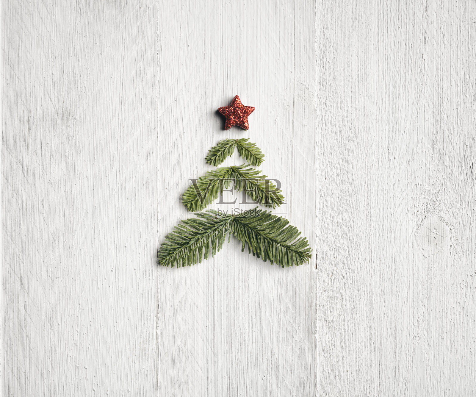 松树枝圣诞树-背景自然木白色插画图片素材