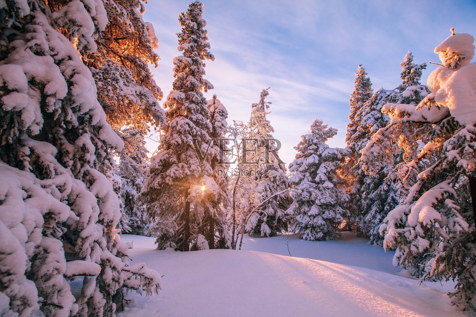 冬天山上的树木被白霜和雪覆盖照片摄影图片