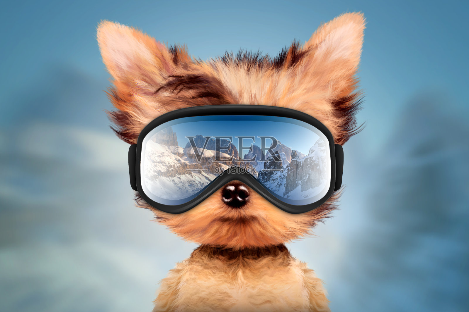 戴着滑雪镜的滑稽狗狗。圣诞节的概念插画图片素材