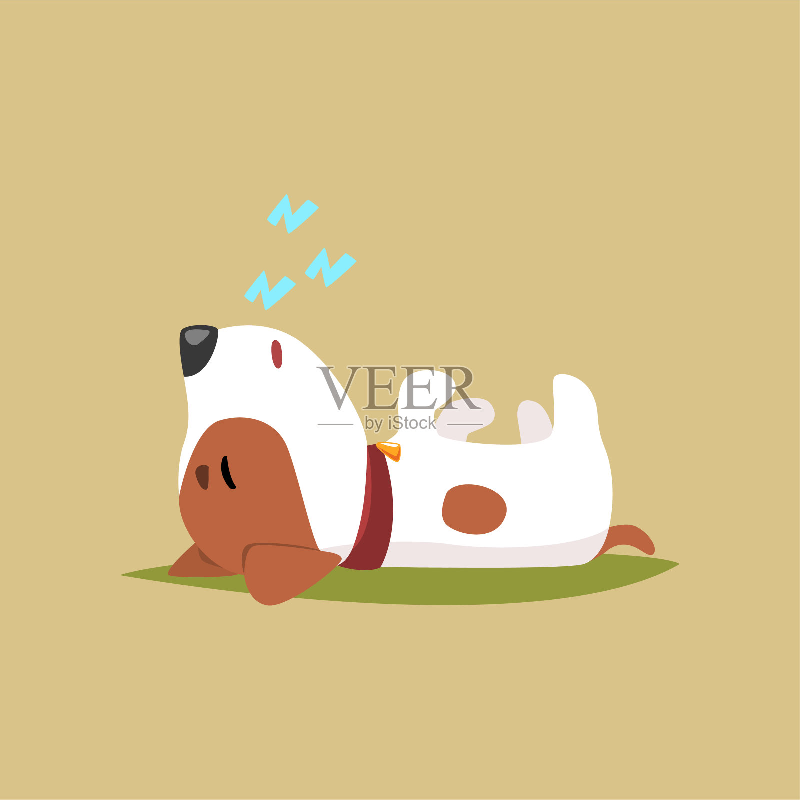 杰克罗素小狗的性格，躺在它的背上，可爱有趣的小猎犬矢量插图插画图片素材