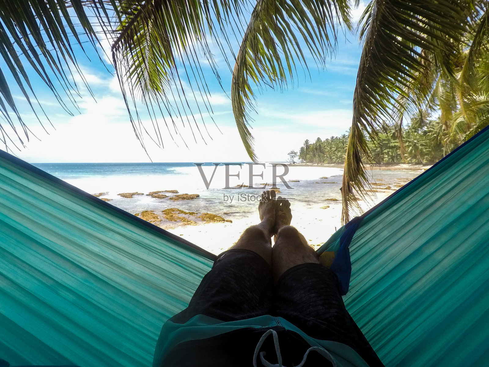 在棕榈树下的吊床上的男人照片摄影图片