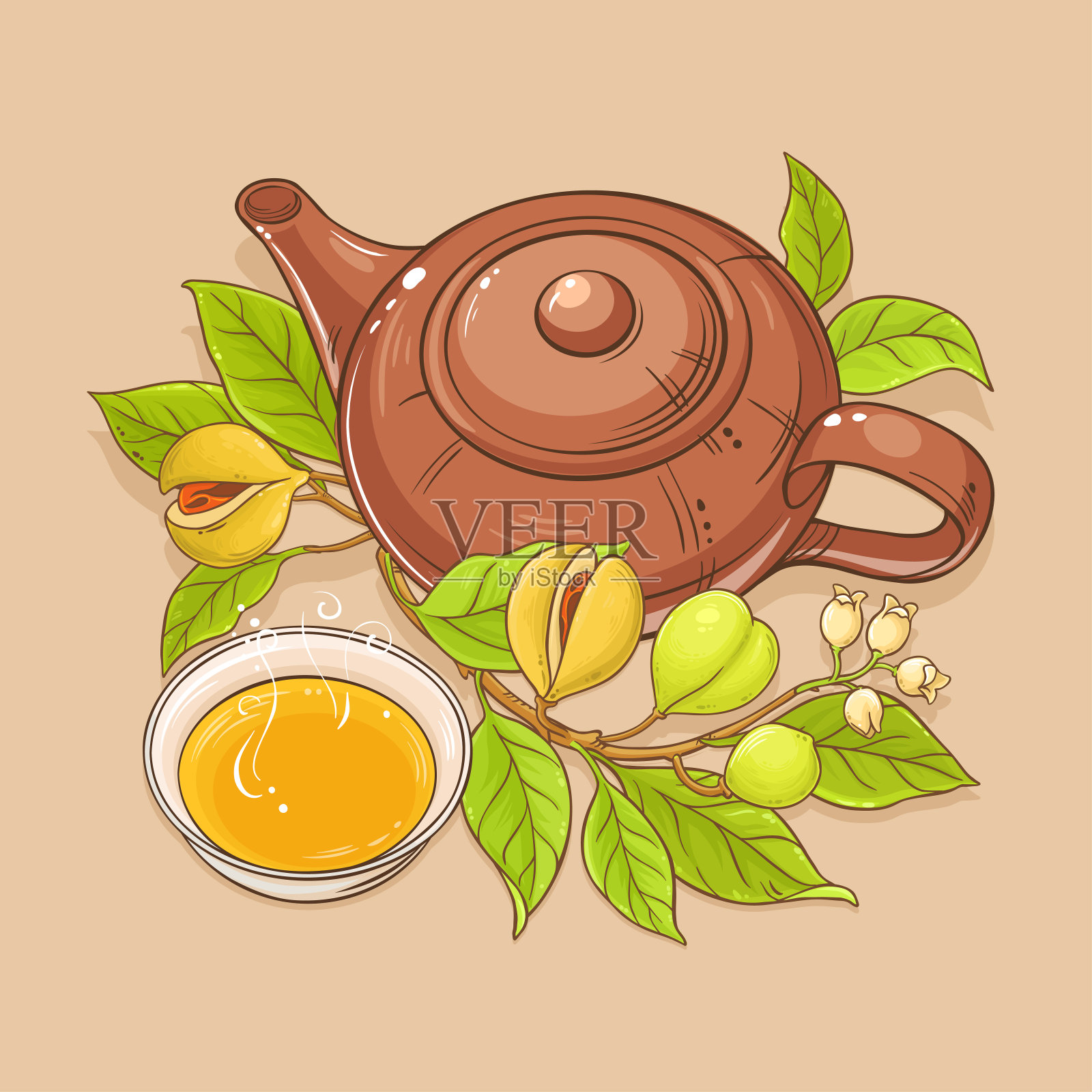 肉豆蔻茶插图设计元素图片