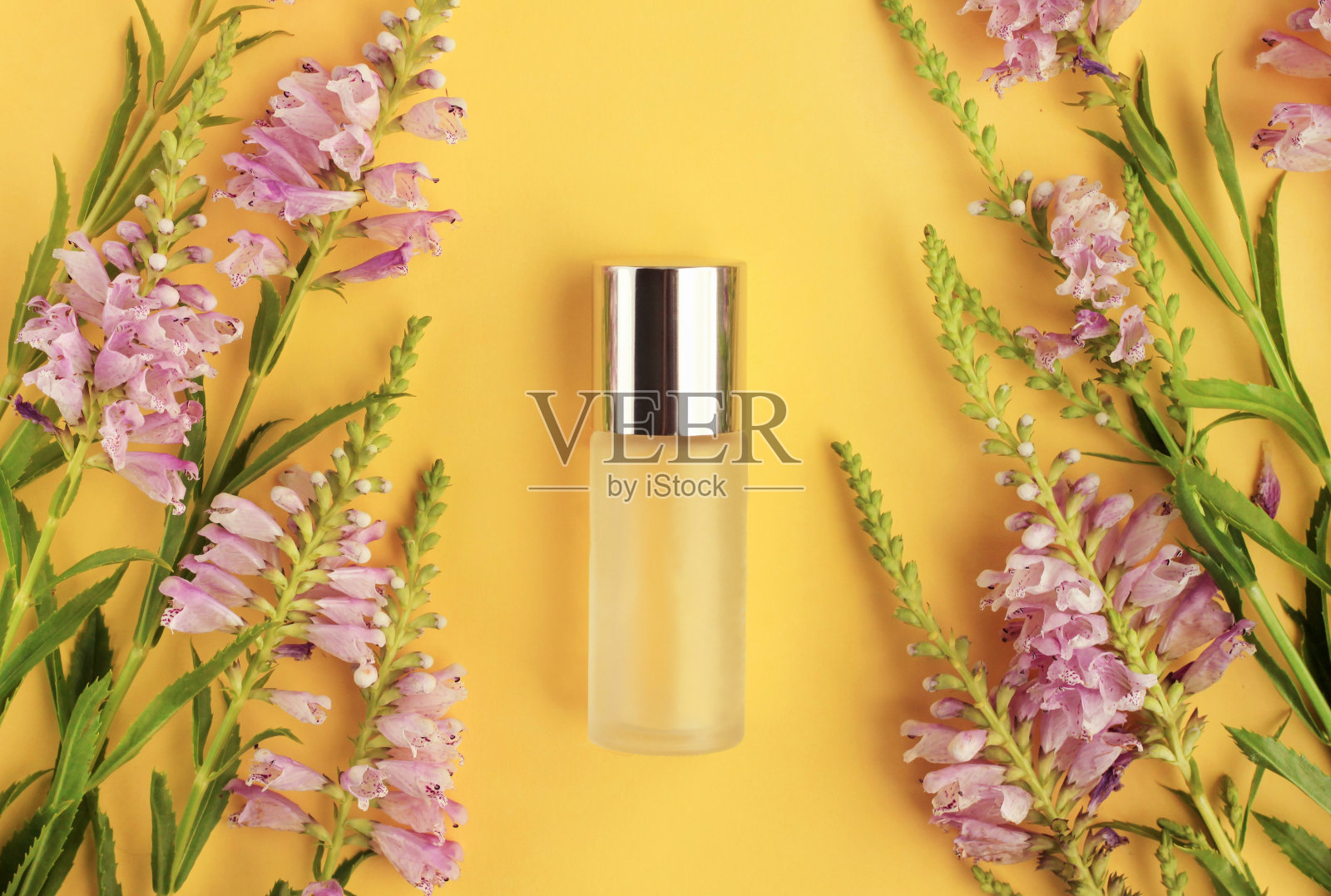 瓶子的皮肤护理产品在明亮的阳光黄色背景顶部观看，框架芳香的新鲜丁香花。照片摄影图片