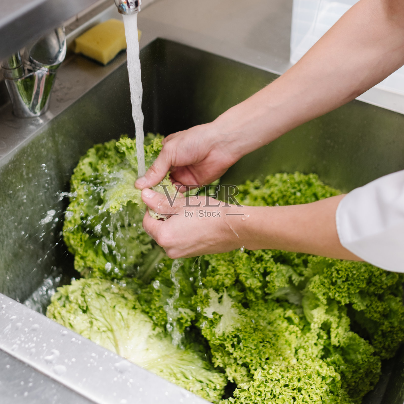 食物卫生餐厅厨师洗沙拉照片摄影图片