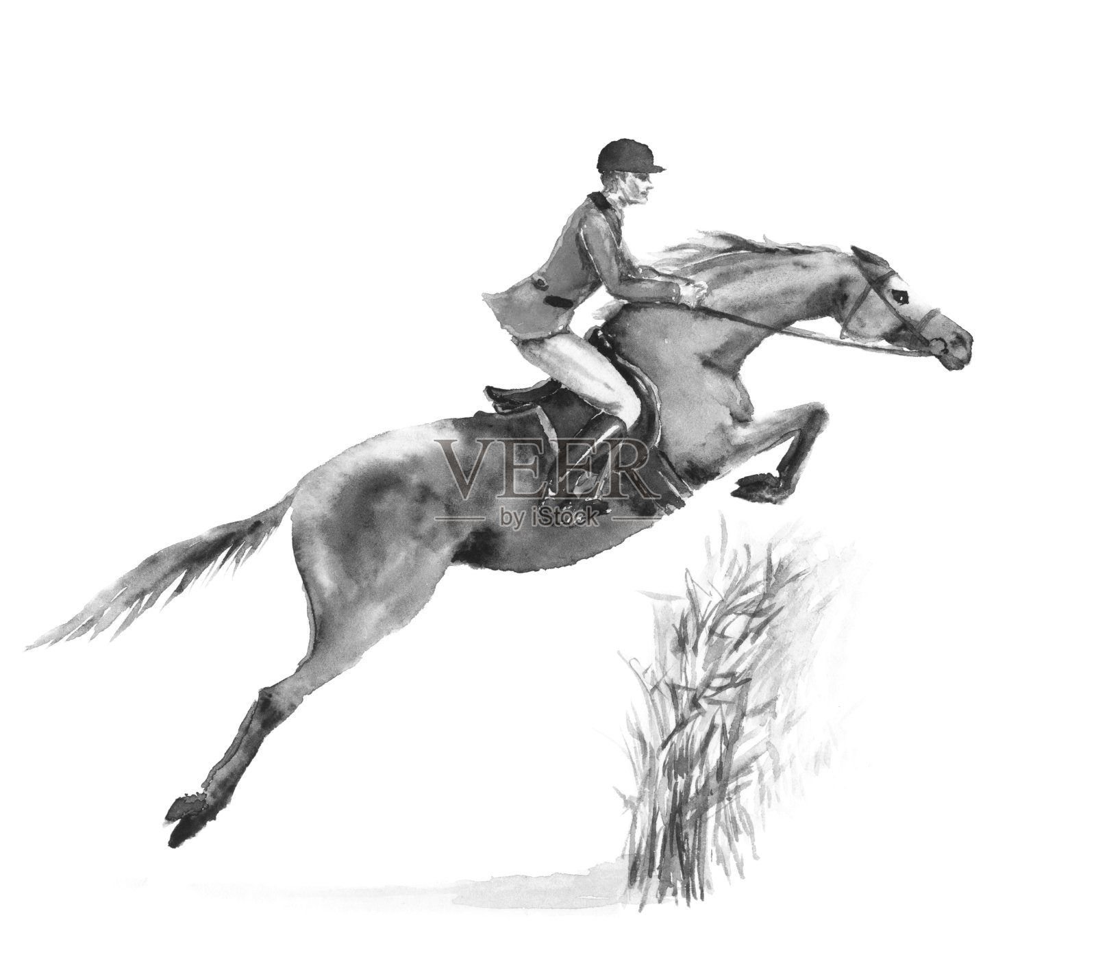 骑马的人和白马在森林里跳跃。黑白单色水彩或水墨手绘插图。插画图片素材