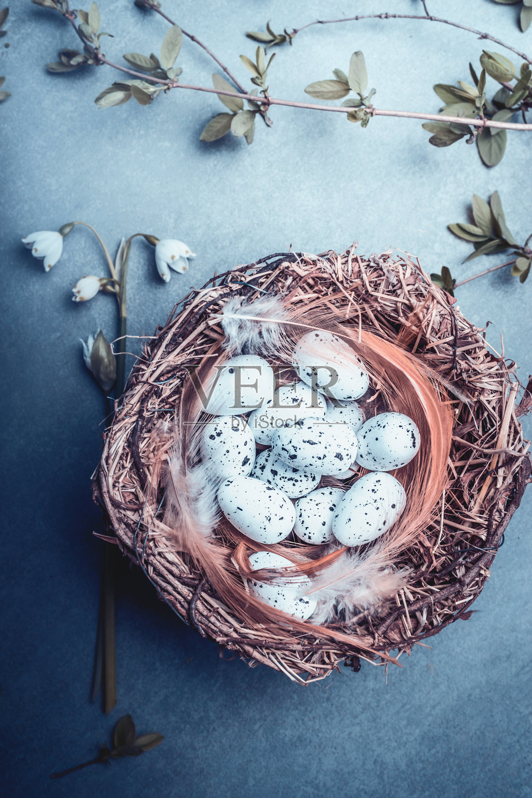 复活节贺卡与巢鸟蛋，春天的树枝和鲜花。照片摄影图片