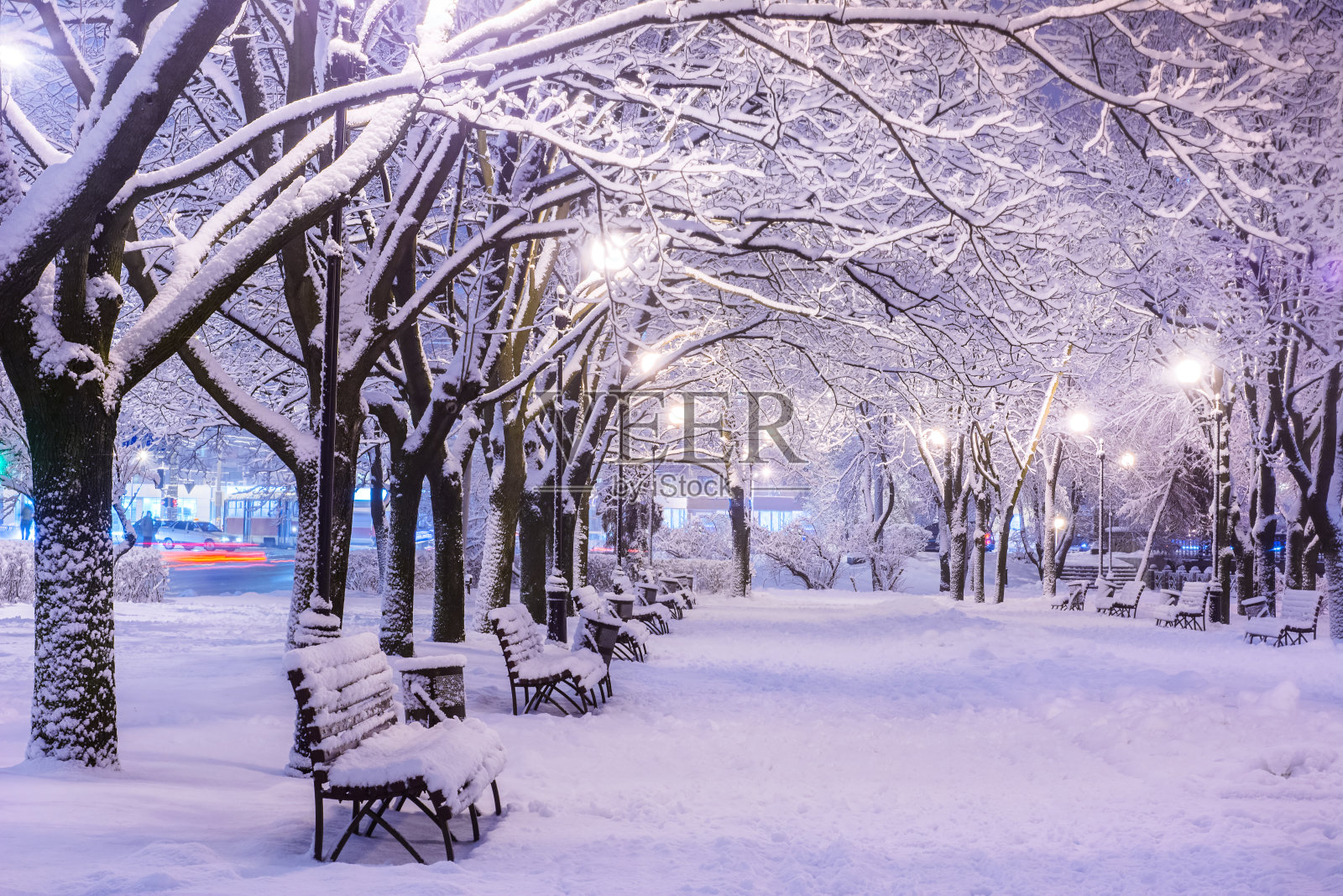令人惊叹的冬夜景观，雪覆盖的长凳在积雪的树木和闪烁的灯光在下雪。艺术照片。美丽的世界。照片摄影图片
