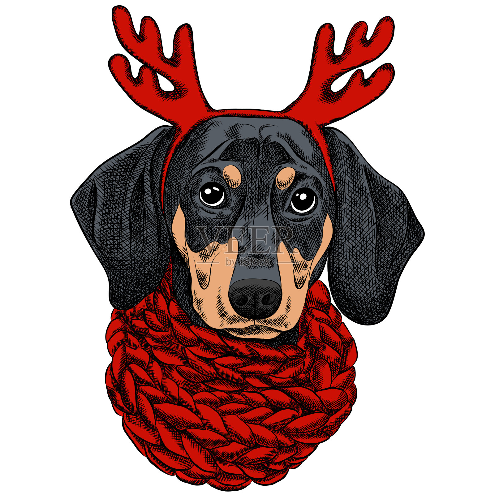 矢量插图的腊肠狗为圣诞贺卡。戴着红色针织暖围巾和犄角的腊肠犬插画图片素材