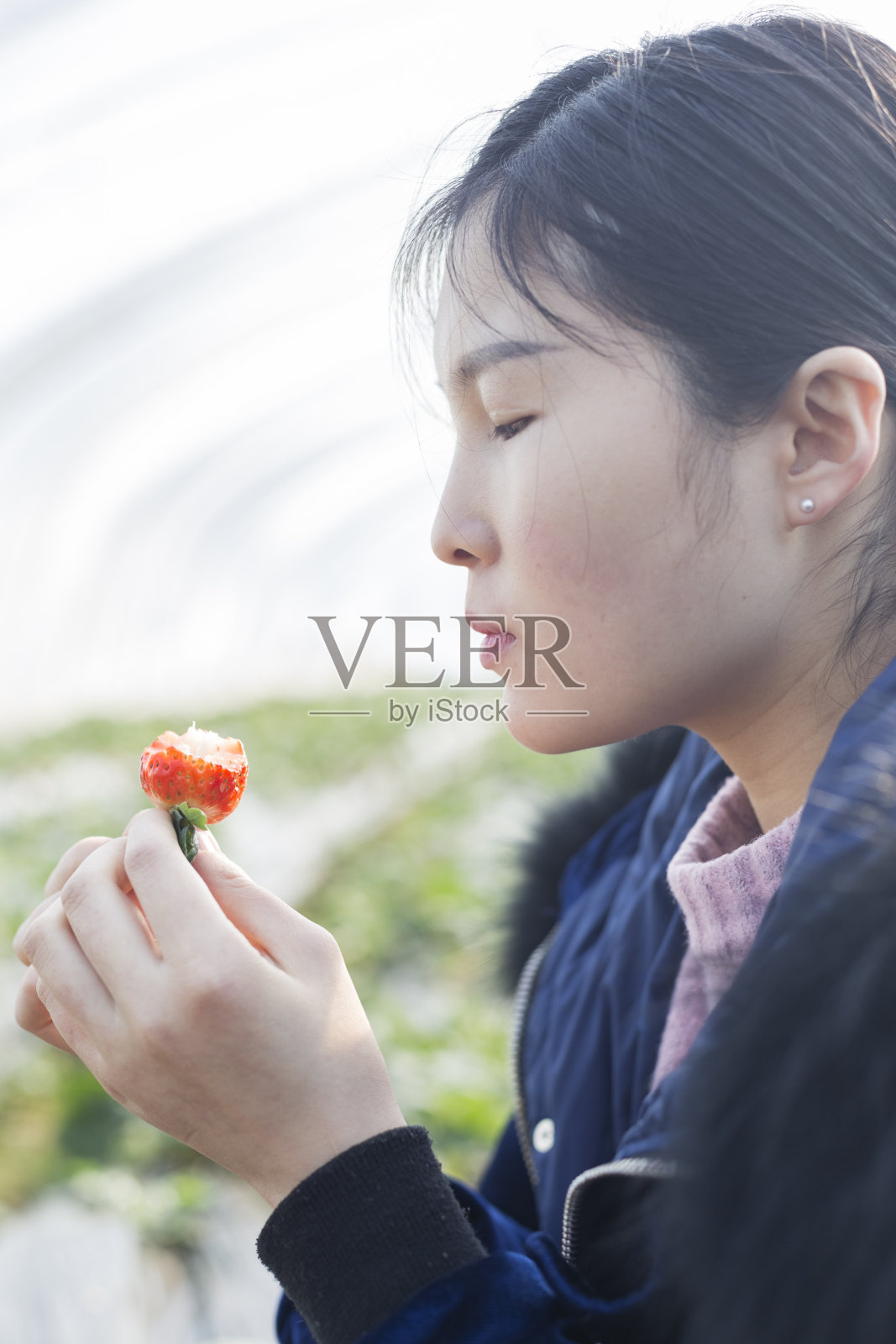 在温室里吃新鲜草莓的女人的肖像照片摄影图片