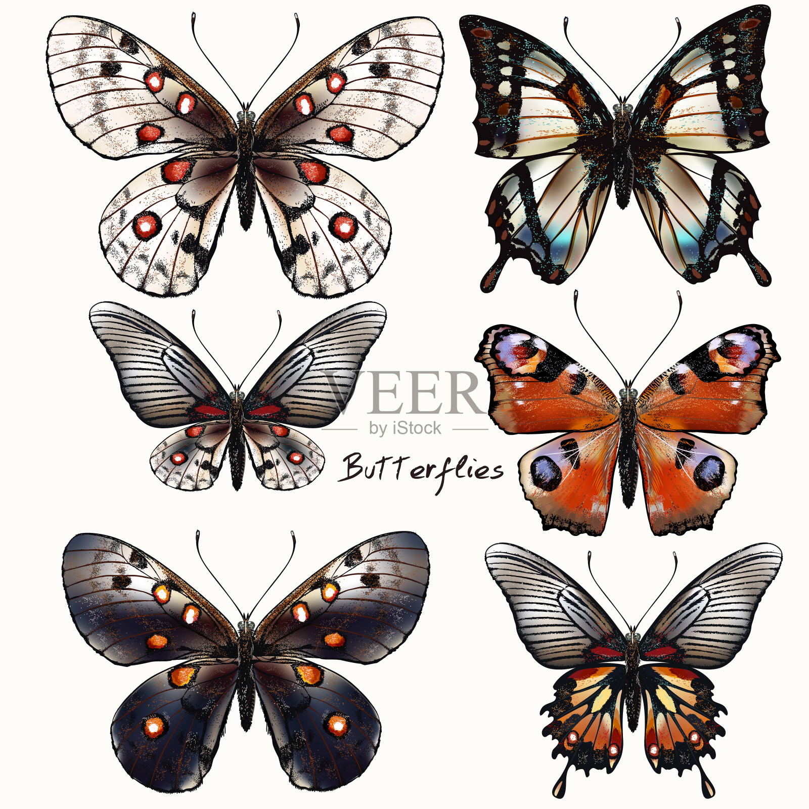 收集矢量复古现实蝴蝶在复古风格设计元素图片