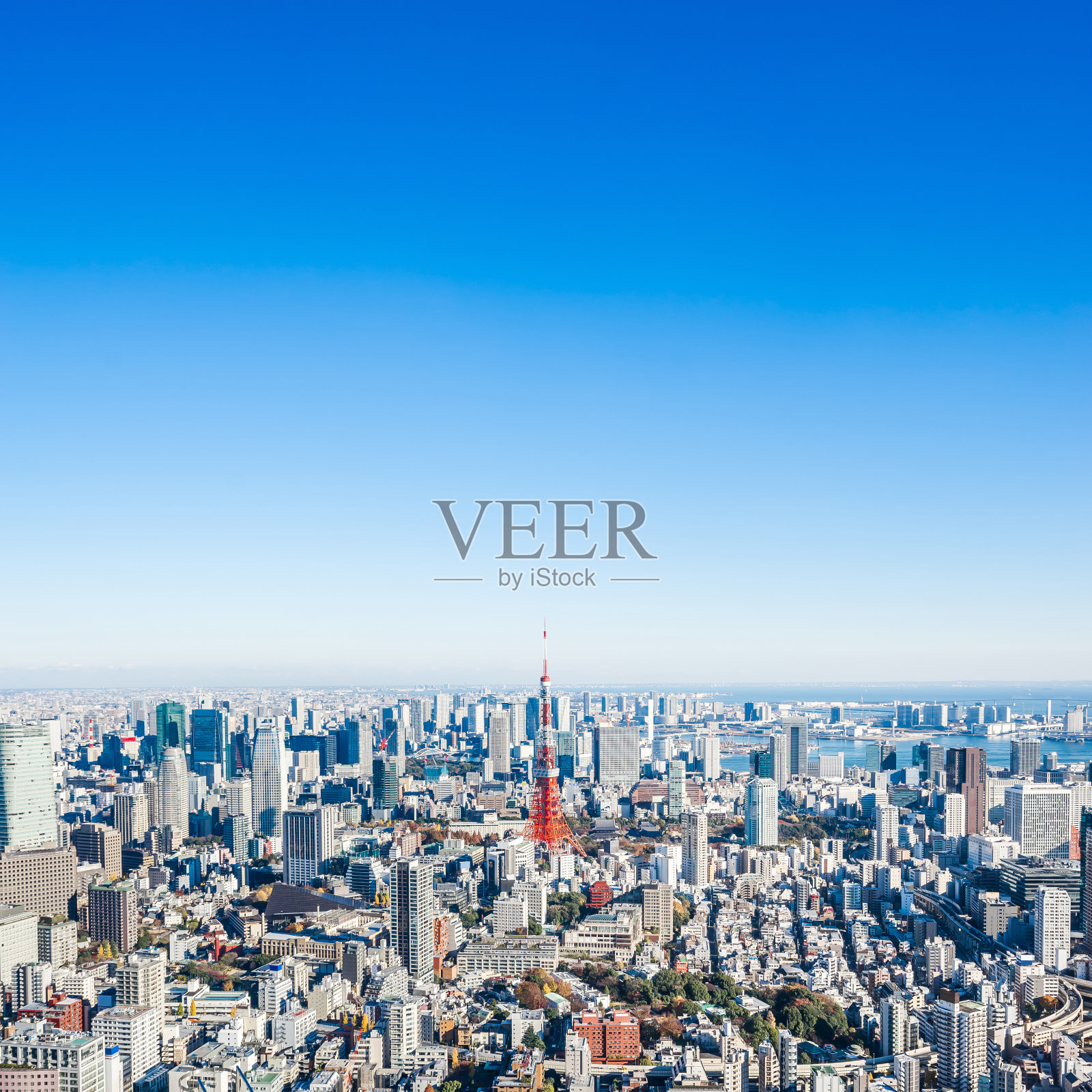 全景现代城市天际线鸟瞰东京塔照片摄影图片