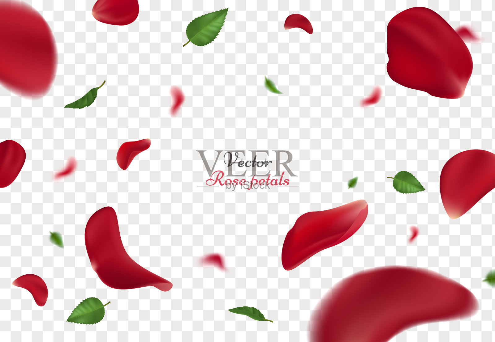 飘落的红玫瑰花瓣和绿叶孤立在透明的背景上。美丽玫瑰花瓣矢量插图，适用于妇女节和情人节贺卡的设计。设计元素图片
