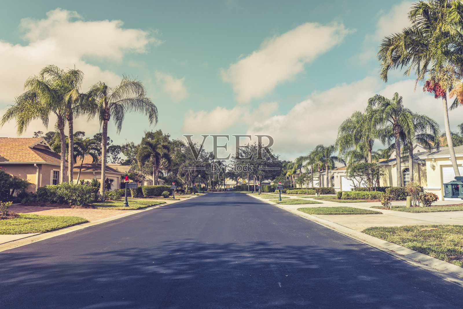 南佛罗里达，带门的社区房屋，棕榈树照片摄影图片