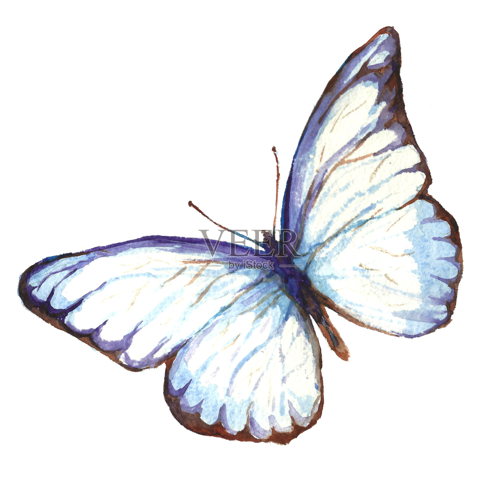 蝴蝶水彩插图设计元素图片