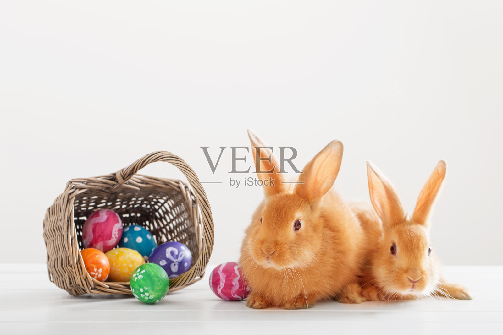 两只红色的小兔子，白色的背景上有复活节彩蛋照片摄影图片