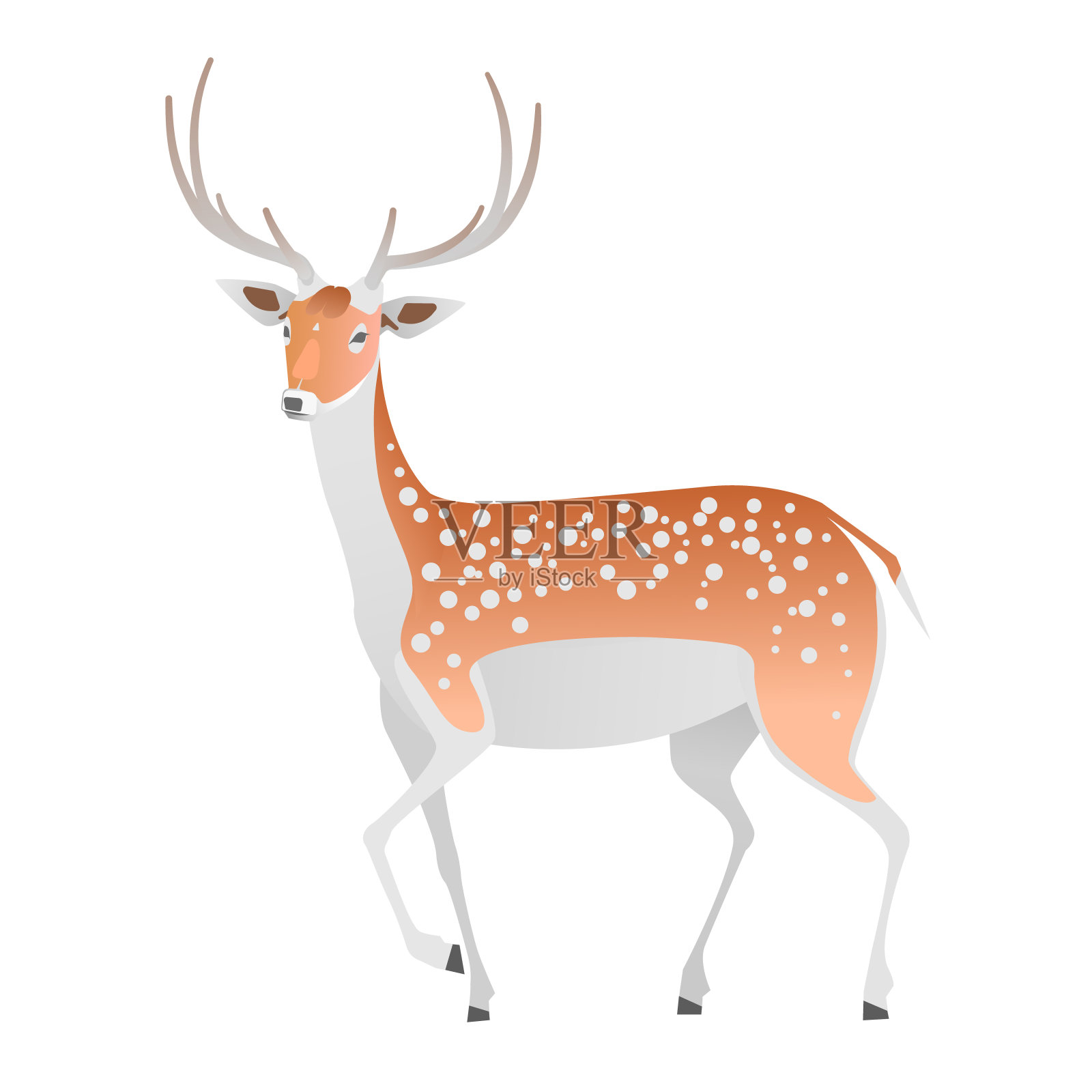 白色背景上优雅的鹿。向量孤立的动物。插画图片素材